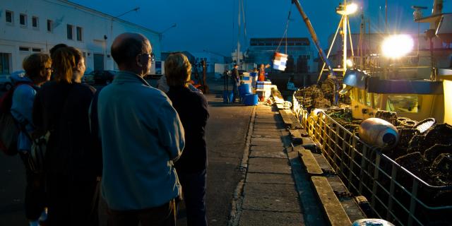 Visite guidée du Port de pêche