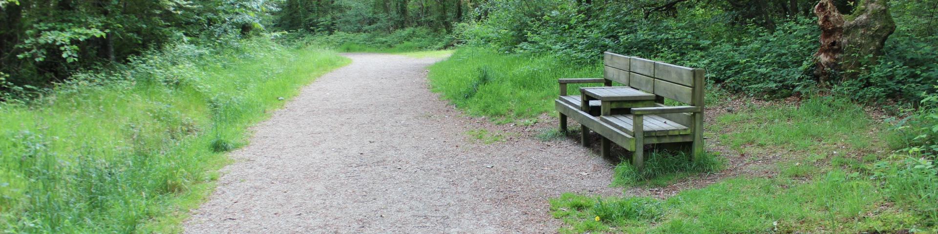 Le Bois Du Névet Kerlaz (4)
