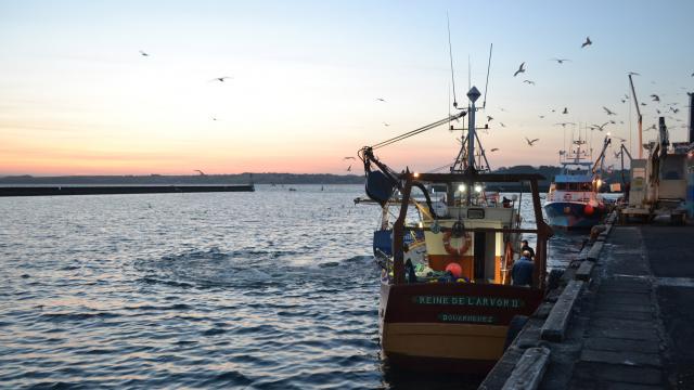 sardine boat fishing port Rosmeur