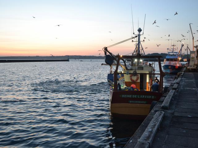 sardine boat fishing port Rosmeur