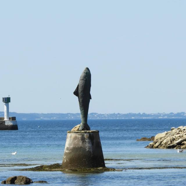 Instagram #douarnenez