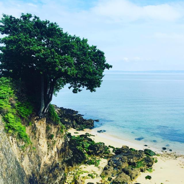 Instagram #douarnenez