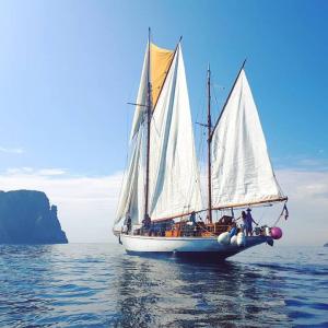 Le SSkeaf, Douarnenez