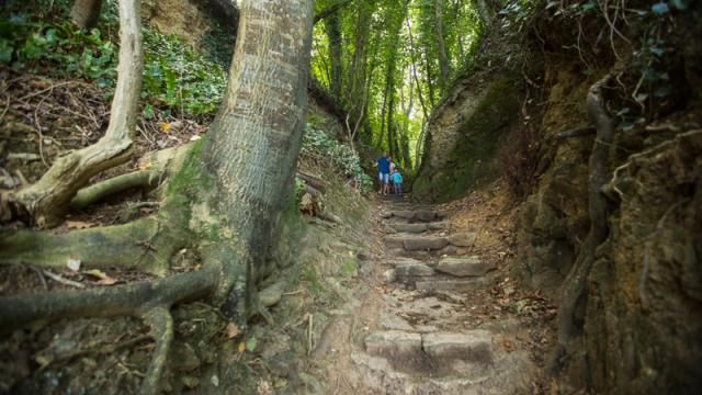 Site naturel des Plomarc'h, Douarnenez