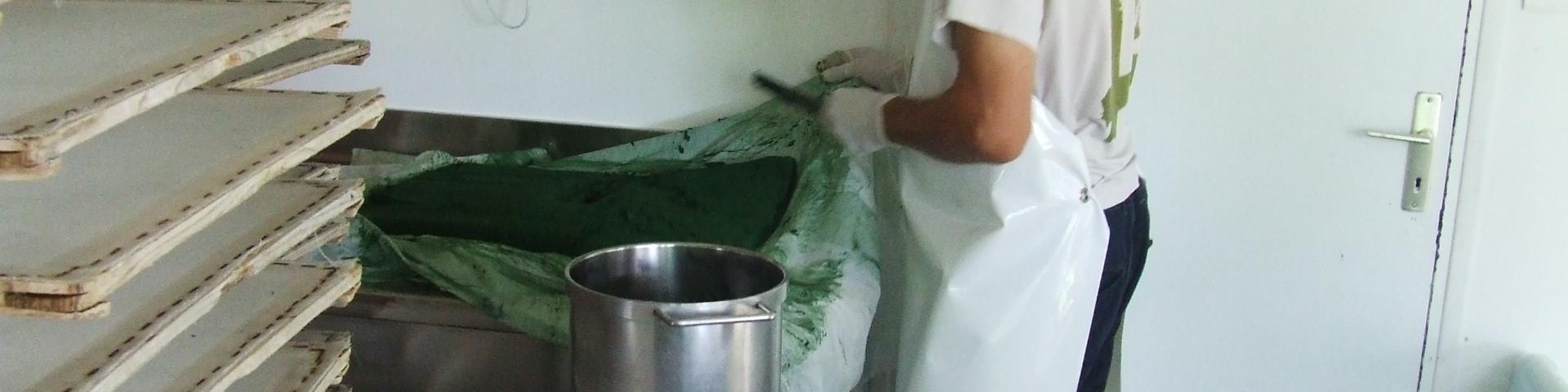 Préparation d'une Galette de Spiruline - Ferme de Keratry