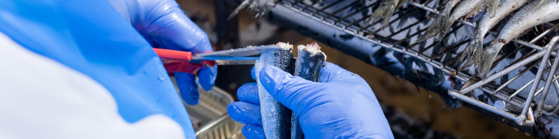 Ouvrière en train de couper la sardine pour la mettre dans une boîte de conserve