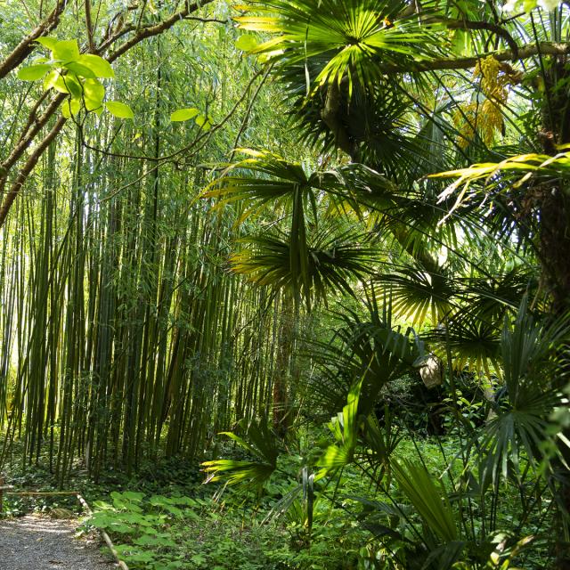 Jardin exotique de l'Ile Tristan