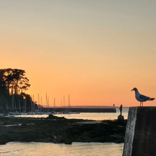 Instagram #douarneneztourisme