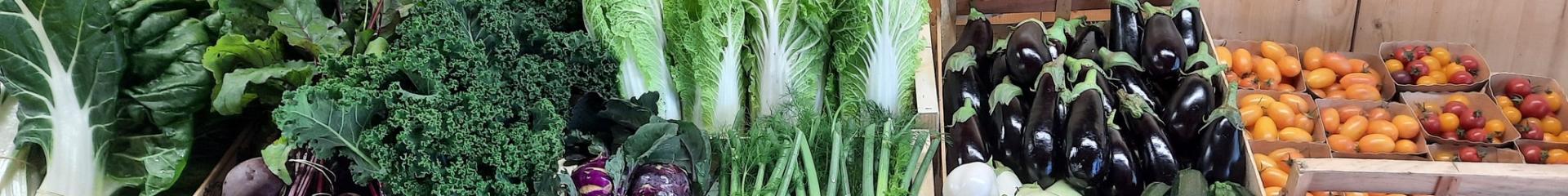 Tomates, tomates cerises, aubergines, courgettes, poivron, salade, haricots dans des cagettes.