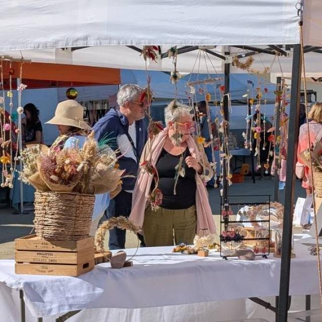 525911775 1294242046044205 4866672074600024162 N