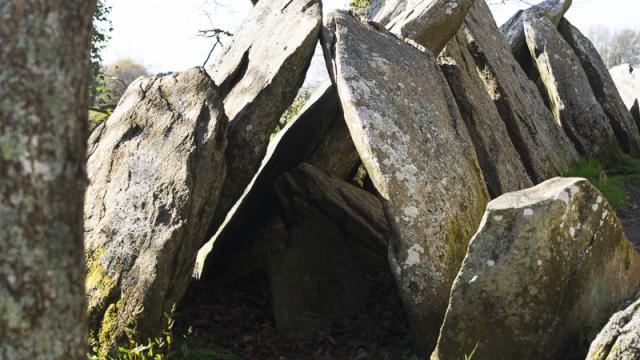 Elise Fournier 2023 Allee Couverte De Lesconil Bd 3