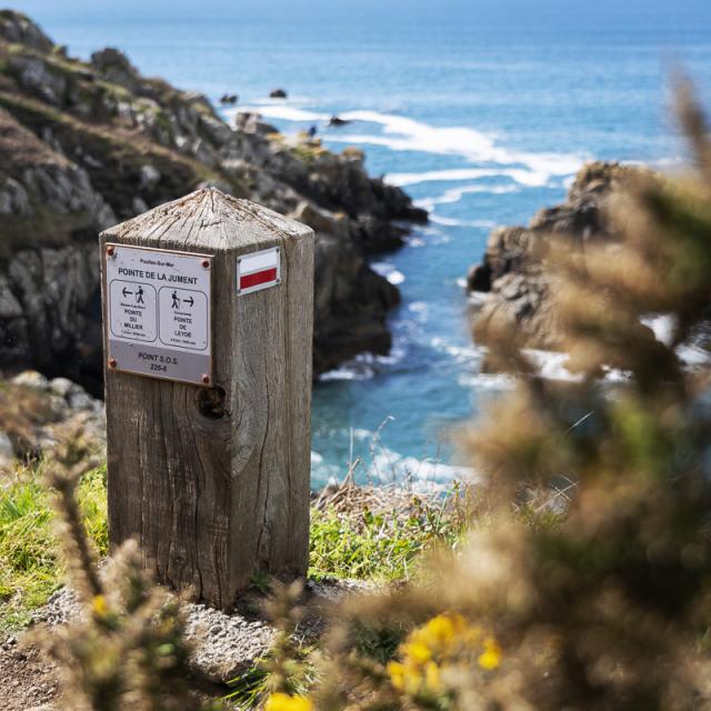 Elise Fournier Pte De La Jument Et La Cote Bd 12